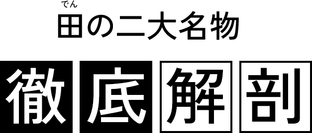 でん田の二大名物徹底解剖